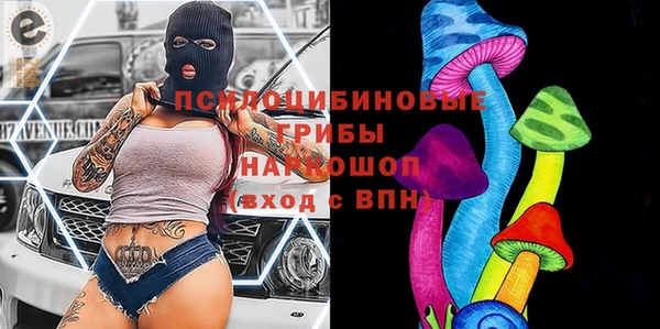 метамфетамин Богданович