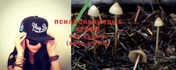 метамфетамин Богданович