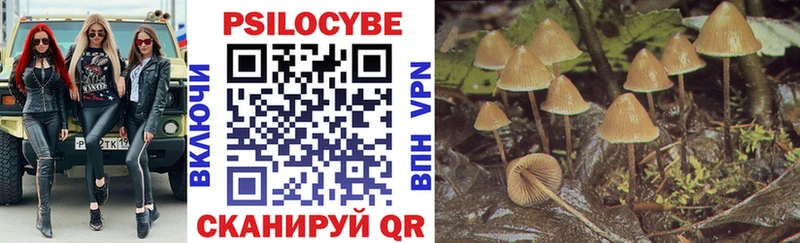 купить Красноярск Галлюциногенные грибы Magic Shrooms